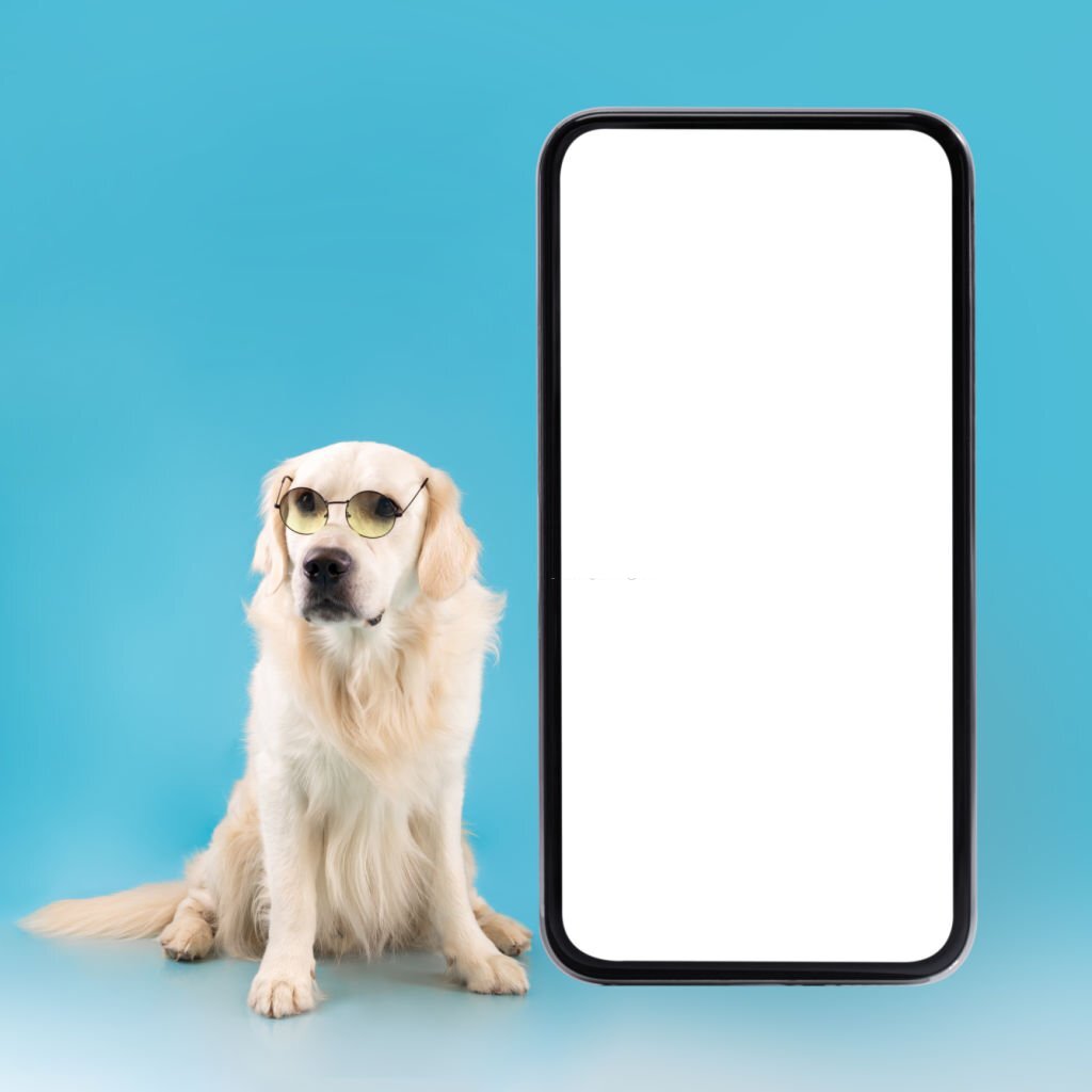 Portrait of healthy dog in glasses sitting on the floor near big giant cell phone with white blank screen isolated on blue studio background. Gadget device with mock up free copy space, banner